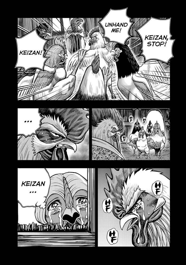 Rooster Fighter chapter 62.1 page 12