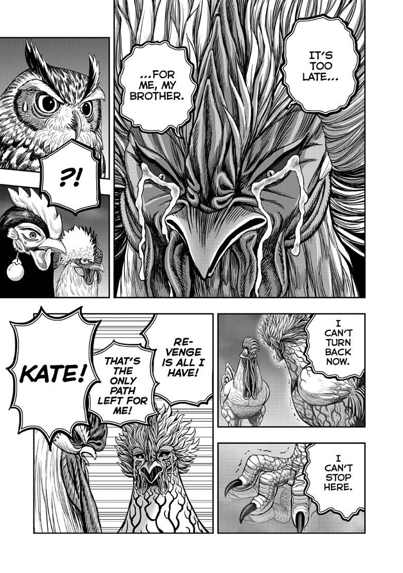 Rooster Fighter chapter 62.1 page 23
