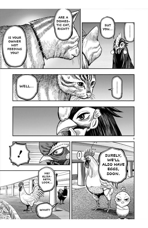 Rooster Fighter chapter 9 page 9