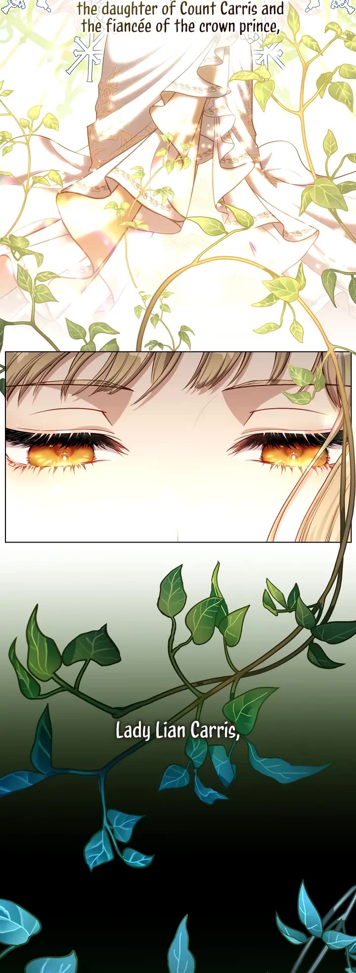 S-Class Hunter Doesn't Want to Be a Villainous Princess chapter 2 page 4