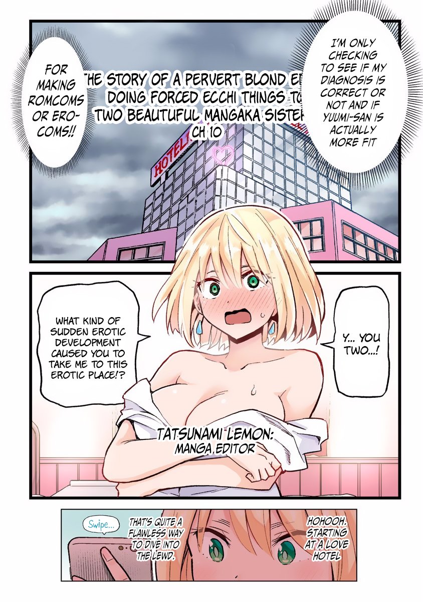 Saotome Shimai wa Manga no Tame nara!? chapter 27.5 page 12