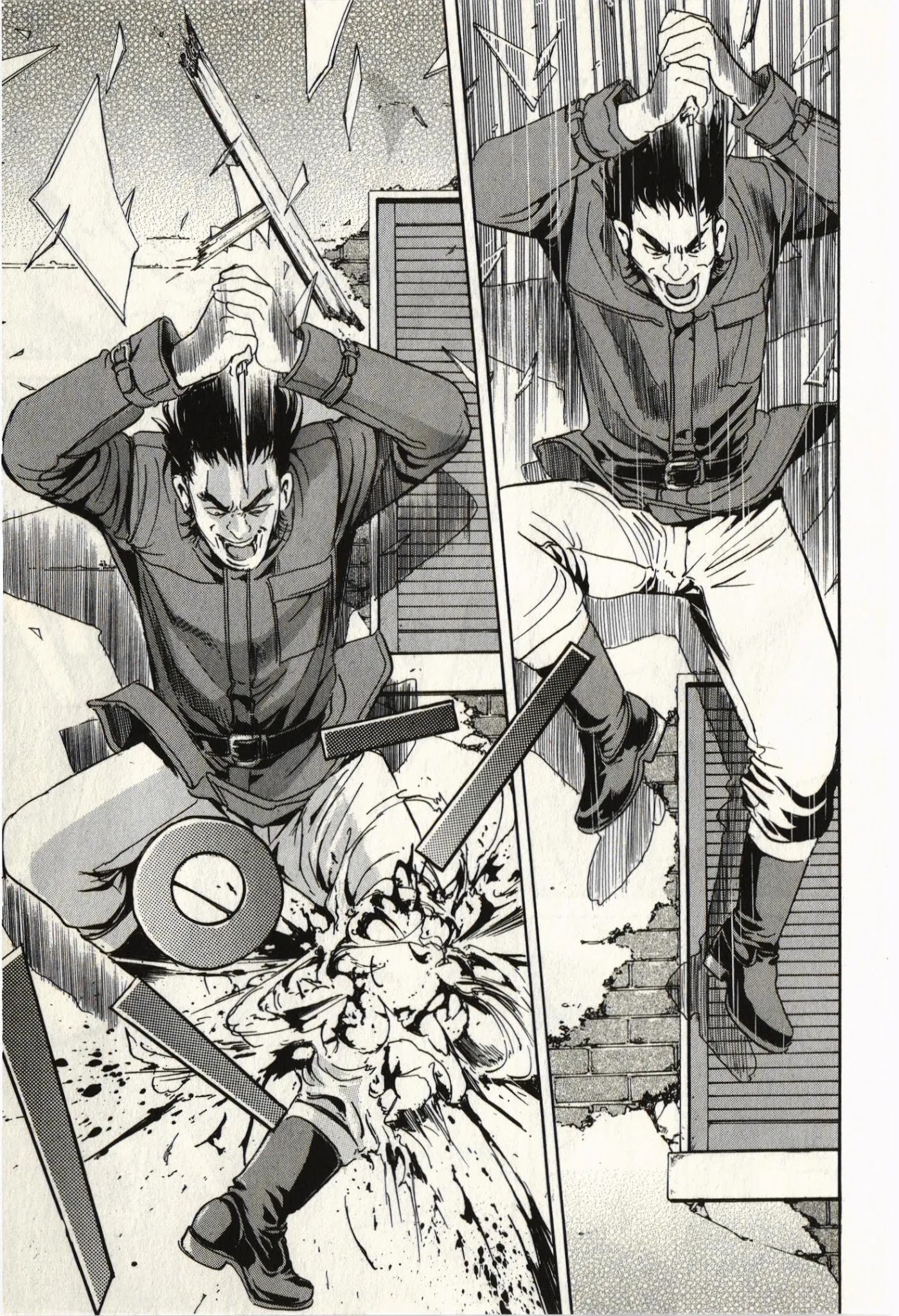 Schäferhund chapter 1 page 35