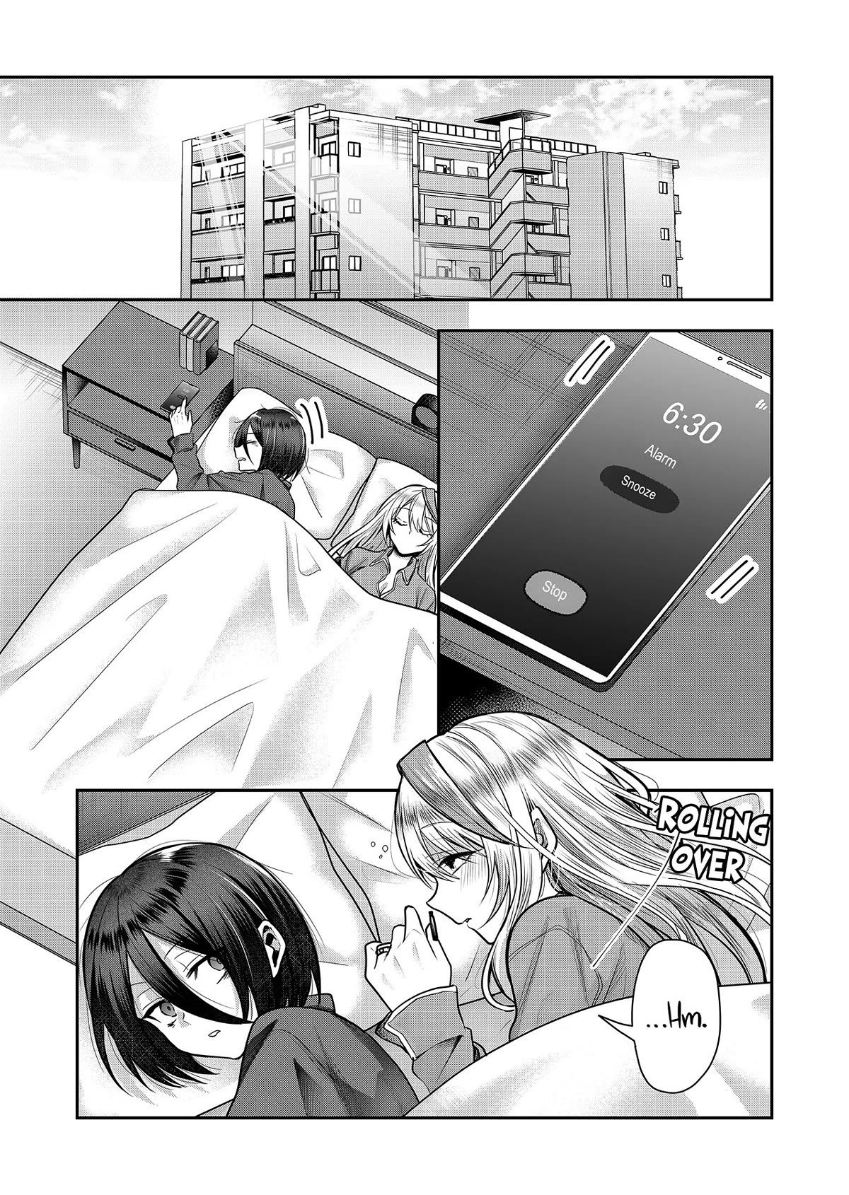 Secrets of the Gal Wife chapter 2 page 2