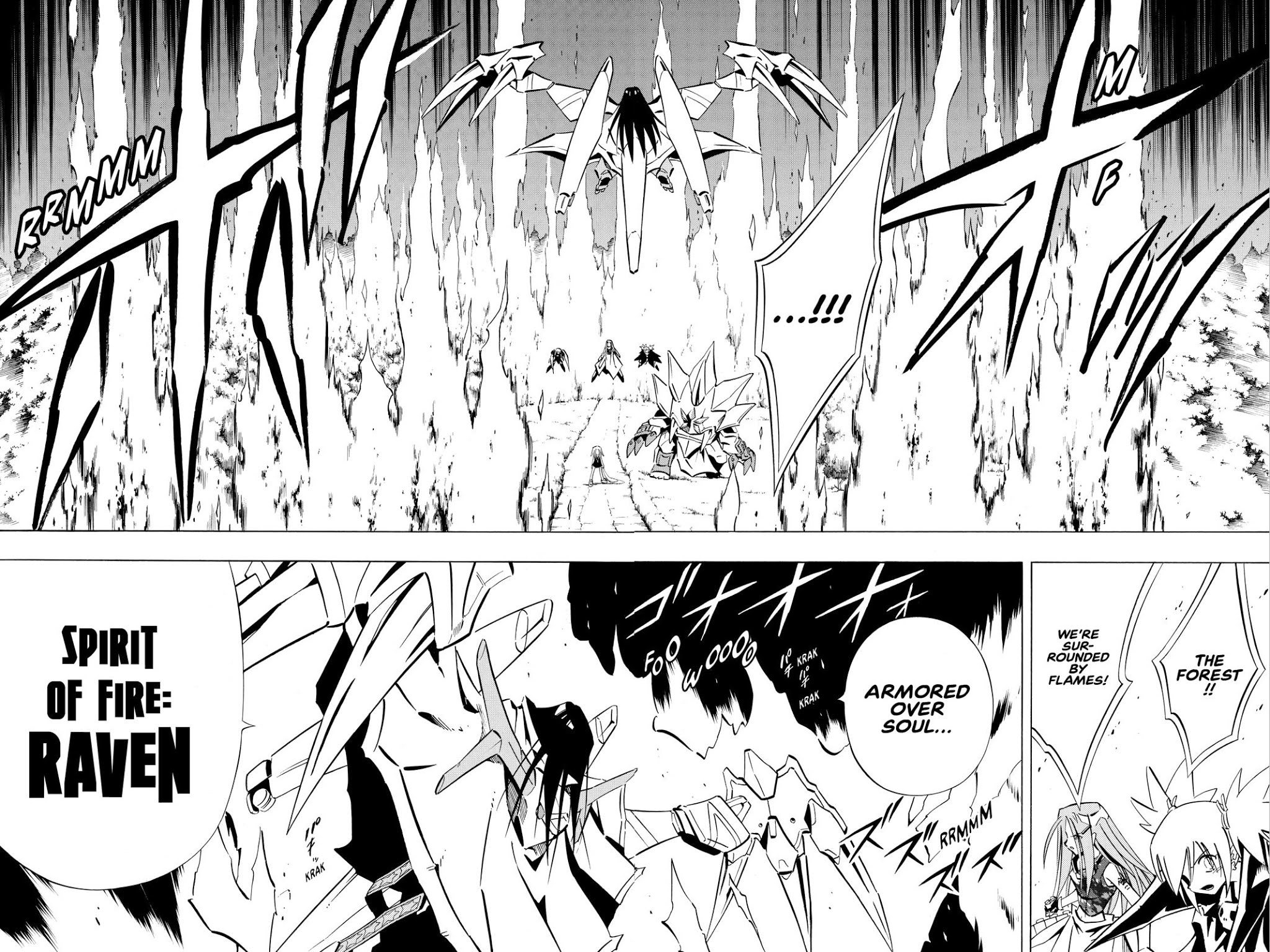 Shaman King chapter 250 page 11