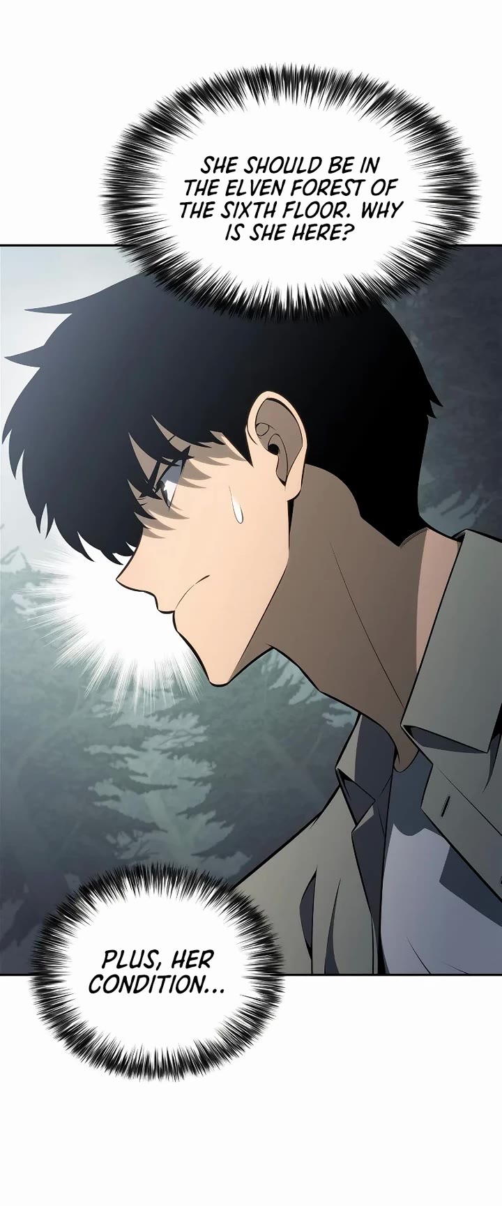 Solo Max-Level Newbie chapter 251 page 4