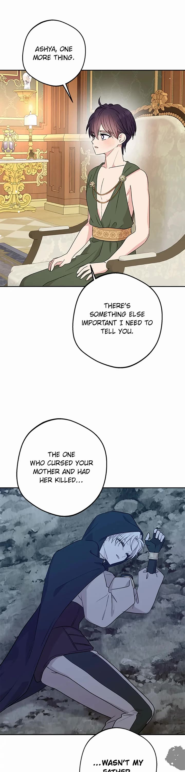 Surviving as an Illegitimate Princess chapter 97 page 13