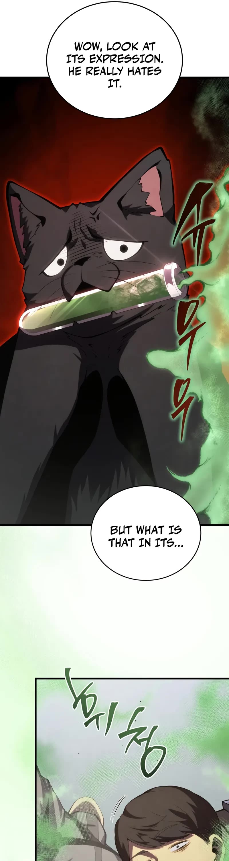 Swordmaster’s Youngest Son chapter 166 page 17