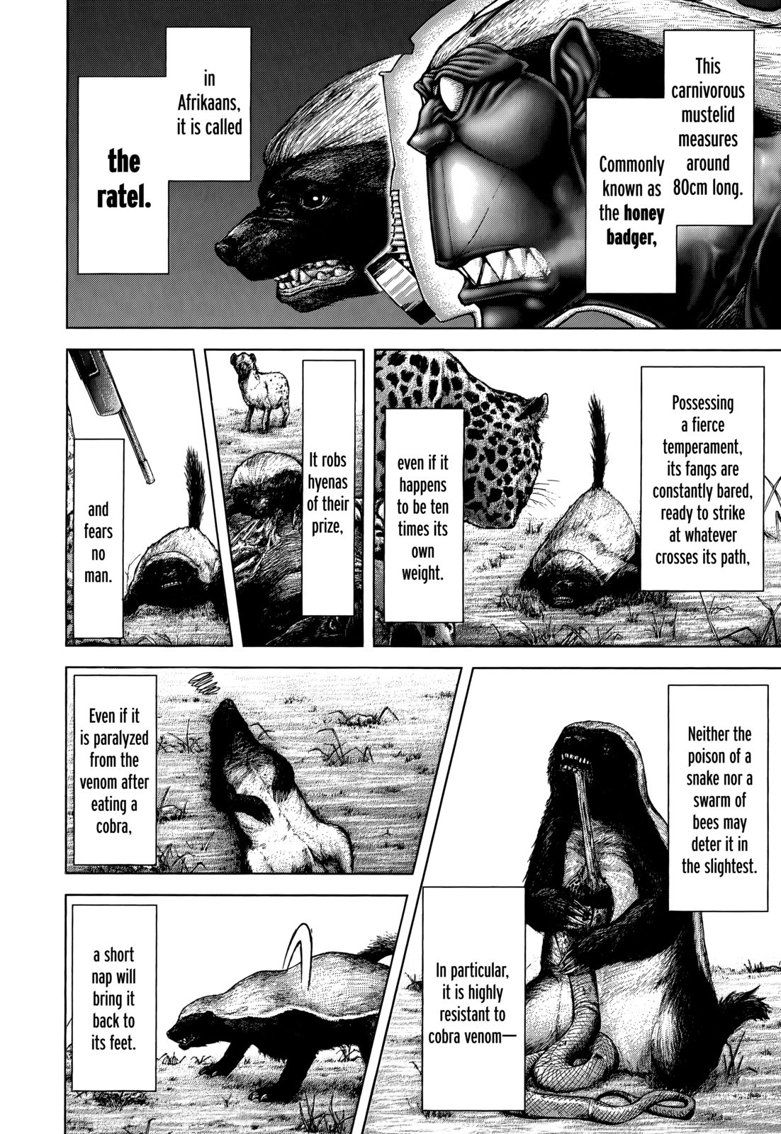 Terra ForMars chapter 104 page 12