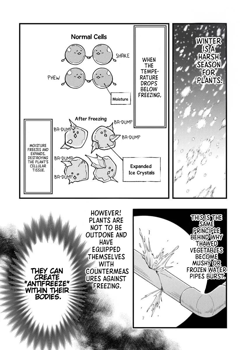 The Cook at the Adventurers' Tavern chapter 11 page 23