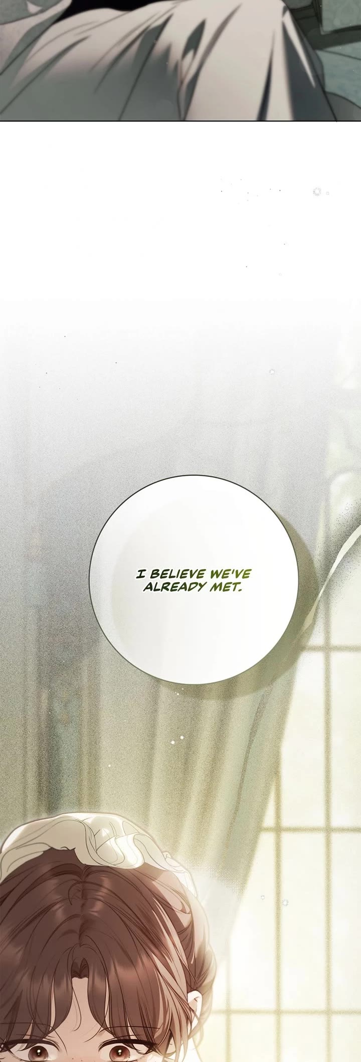 The Count's Secret Maid chapter 59 page 47