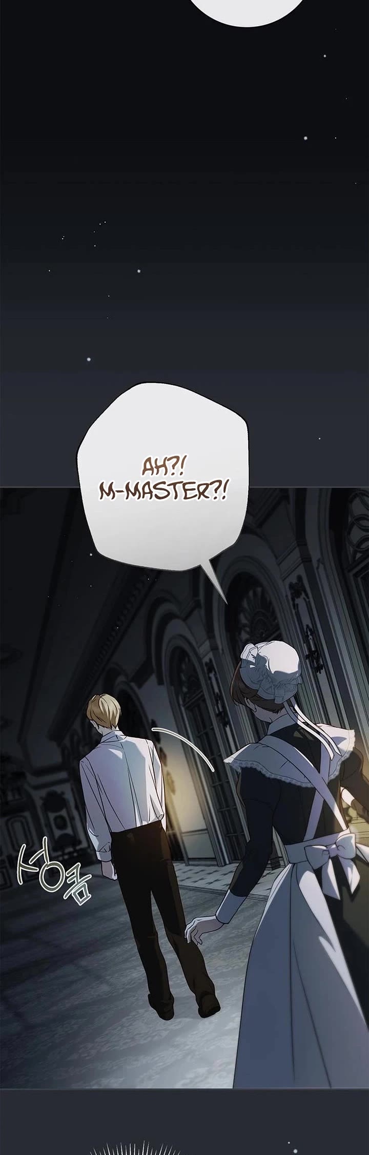 The Count's Secret Maid chapter 66 page 9