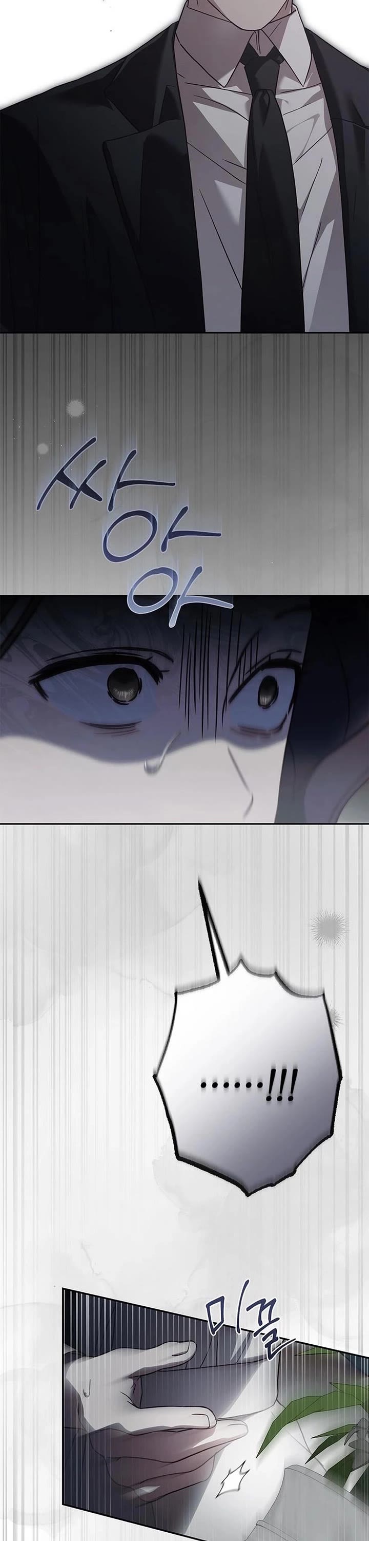 The Count's Secret Maid chapter 71 page 37