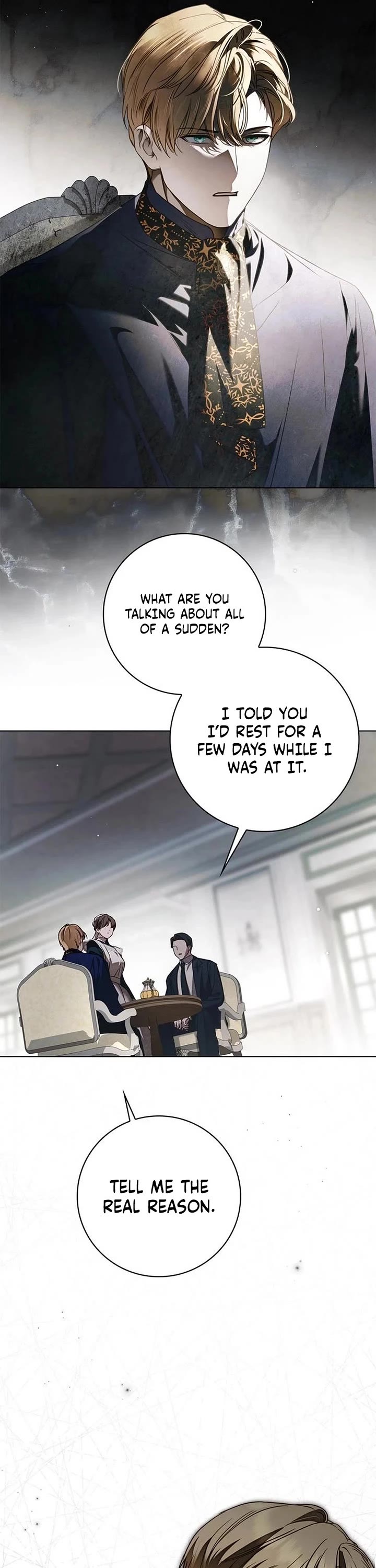 The Count's Secret Maid chapter 73 page 27