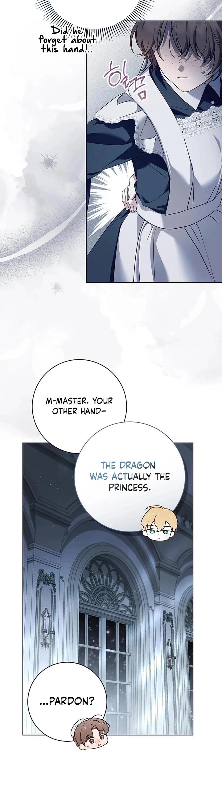 The Count's Secret Maid chapter 79 page 17