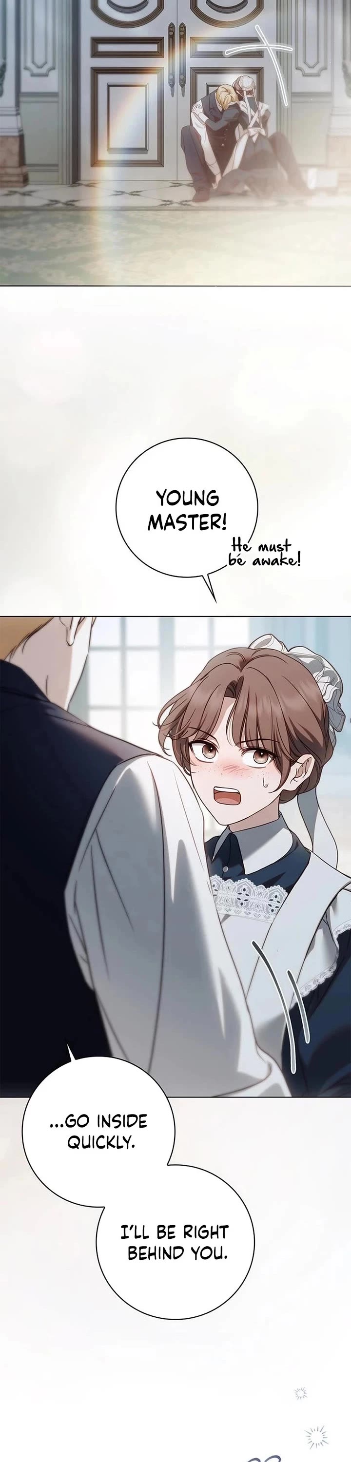 The Count's Secret Maid chapter 79 page 25