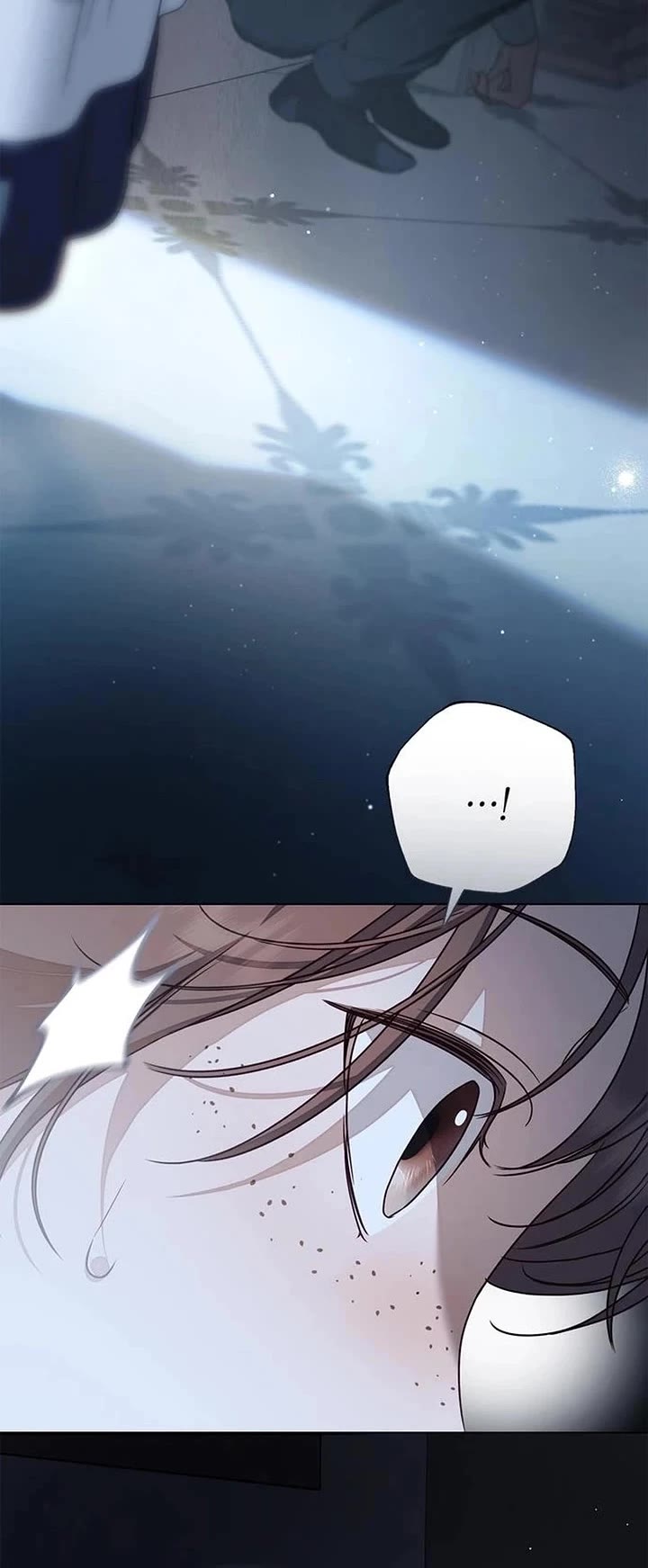 The Count's Secret Maid chapter 79 page 4