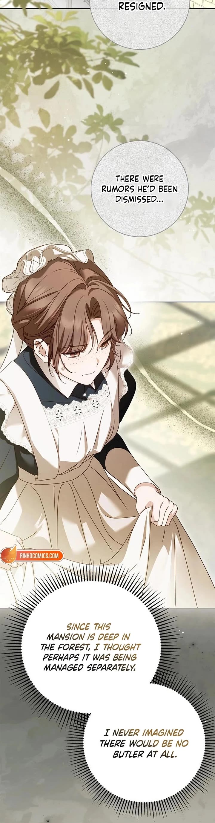 The Count's Secret Maid chapter 79 page 47