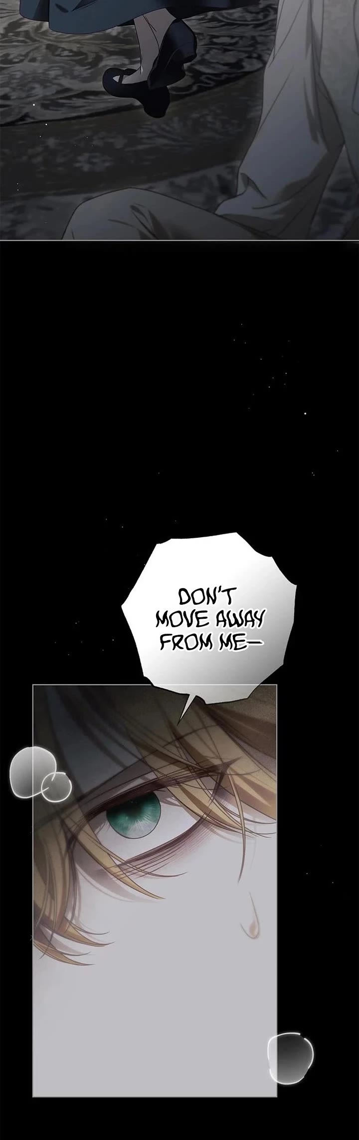 The Count's Secret Maid chapter 81 page 45