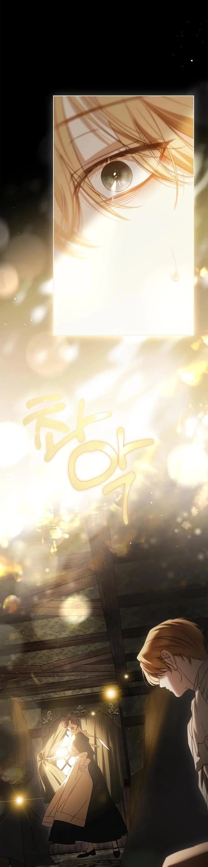 The Count's Secret Maid chapter 81 page 46