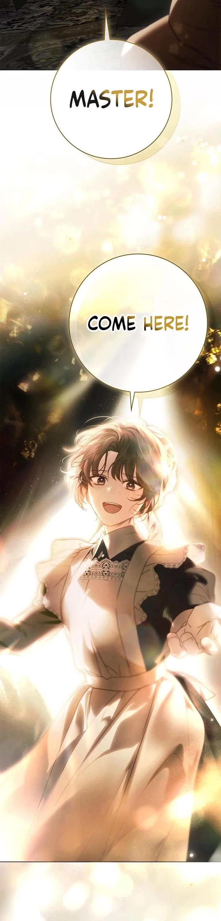 The Count's Secret Maid chapter 81 page 47