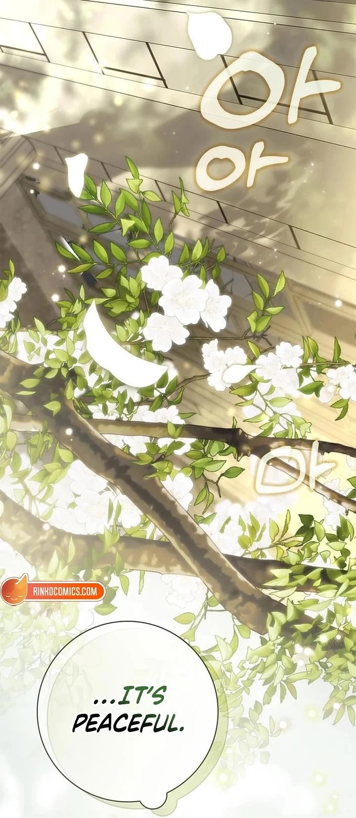 The Count's Secret Maid chapter 81 page 5