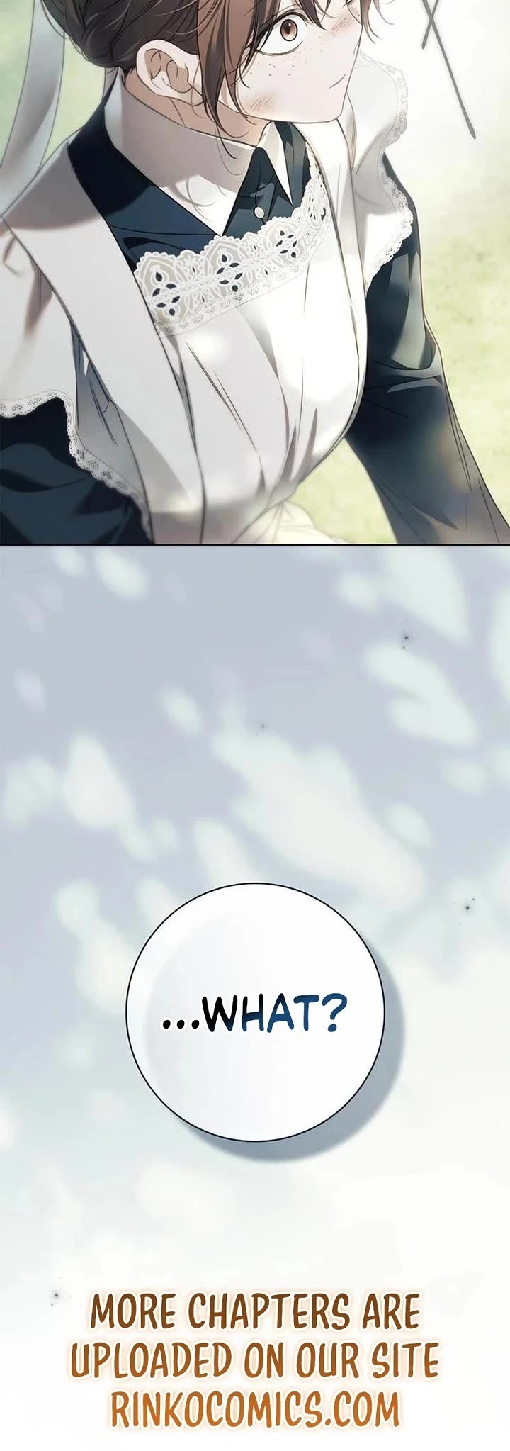 The Count's Secret Maid chapter 87 page 47