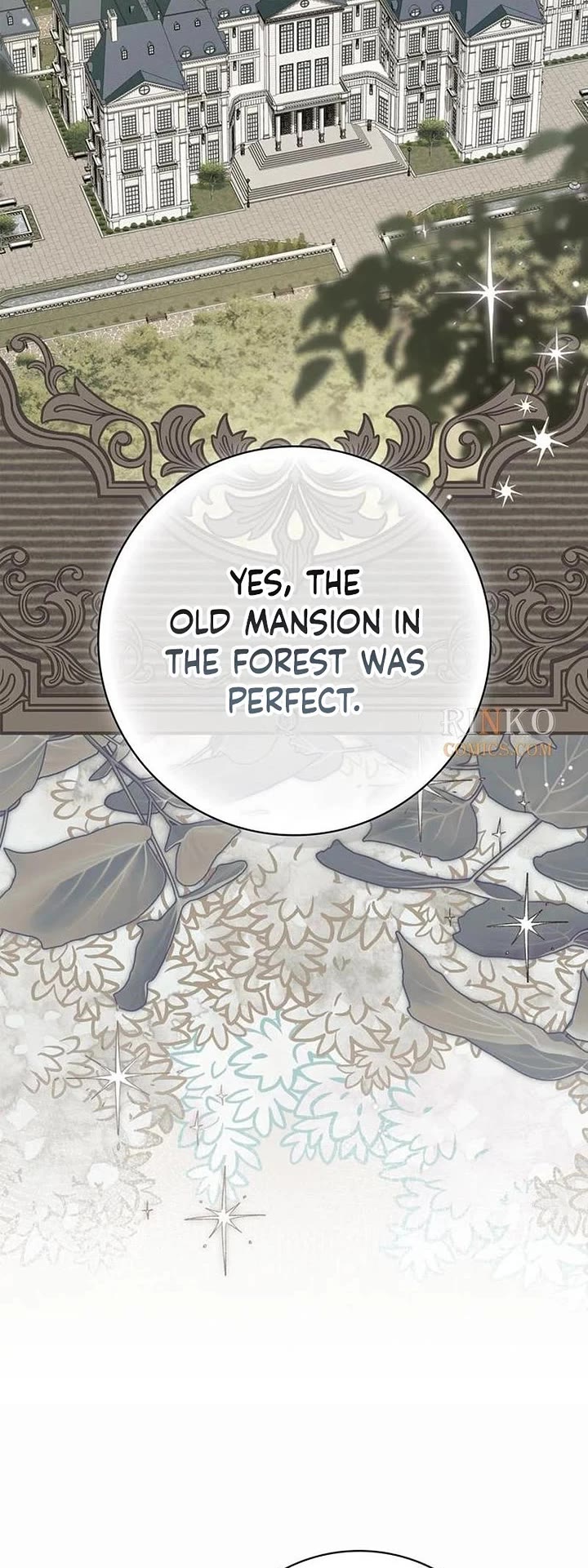 The Count's Secret Maid chapter 93 page 41