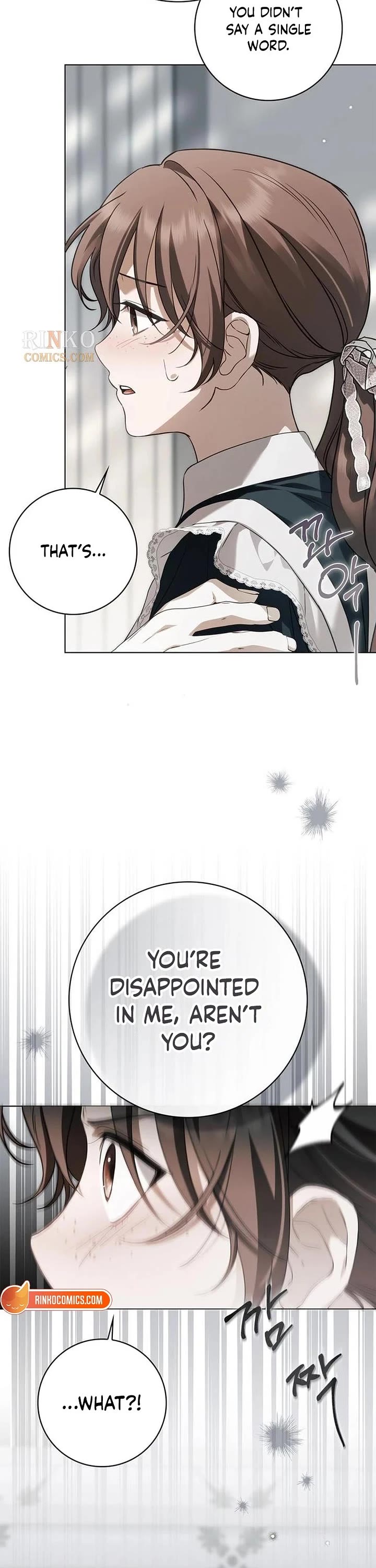 The Count's Secret Maid chapter 94 page 18