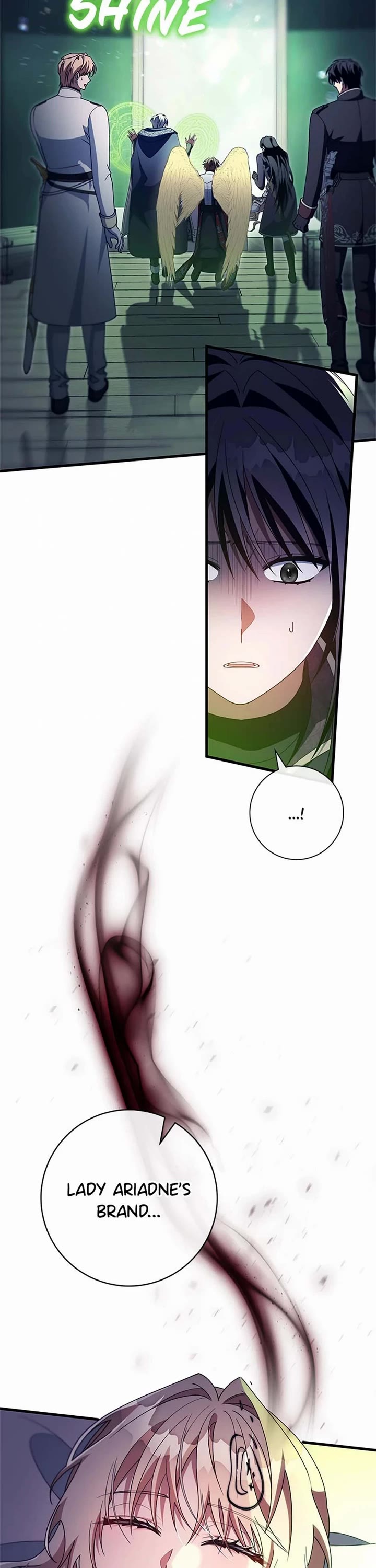 The Hero's Savior chapter 156 page 37