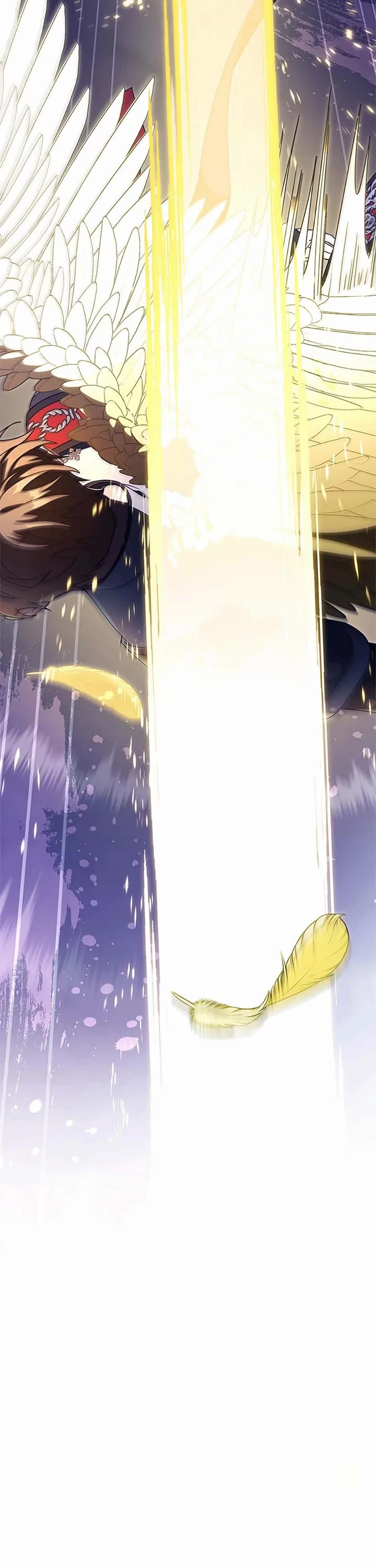 The Hero's Savior chapter 158 page 17