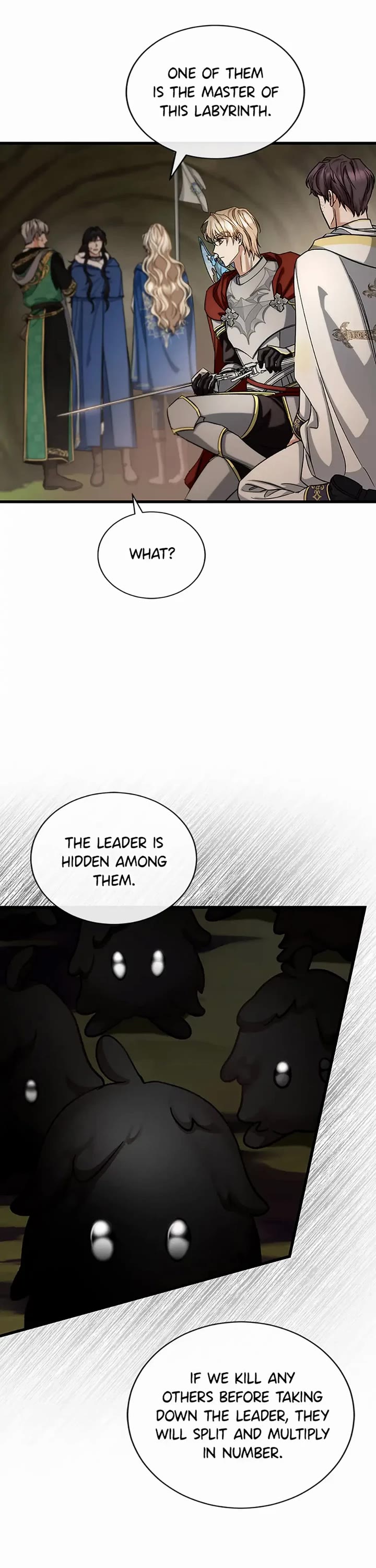 The Hero's Savior chapter 51 page 11