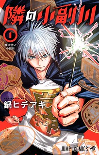 Cover of The Mage Next Door