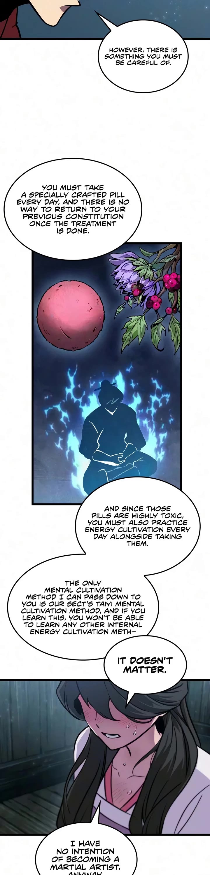 The Martial Genius Who Remembers Everything chapter 15 page 13