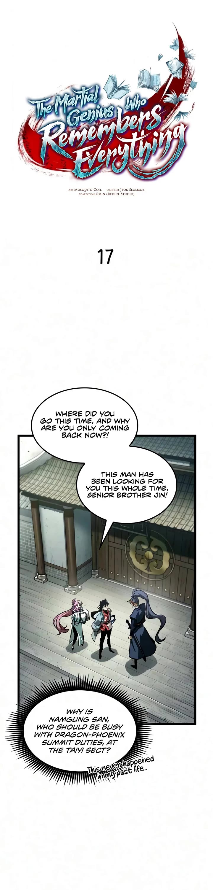 The Martial Genius Who Remembers Everything chapter 17 page 13