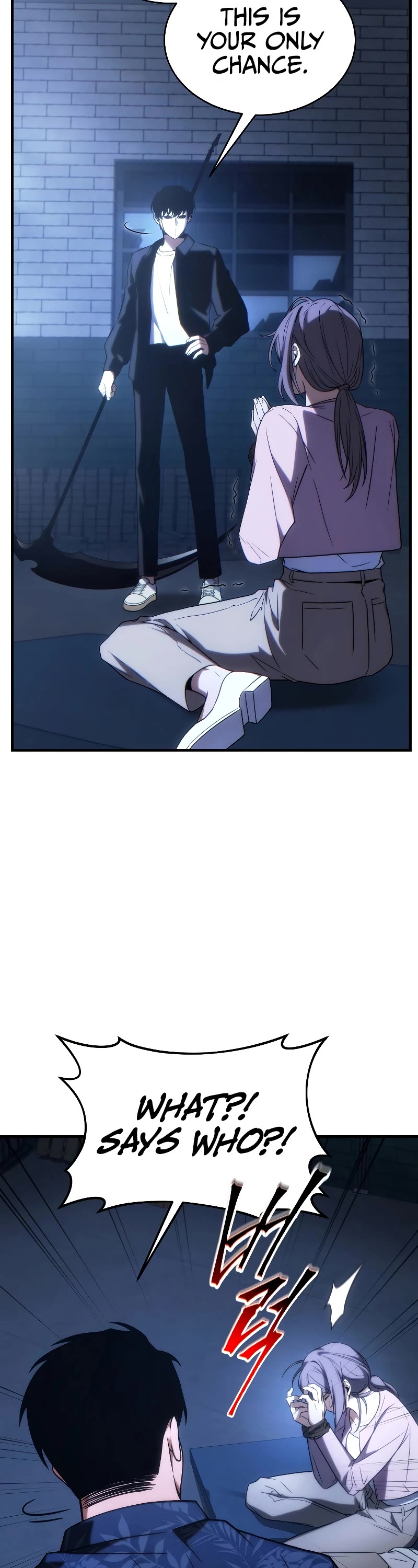 The Max-Level Player’s 100th Regression chapter 29 page 53