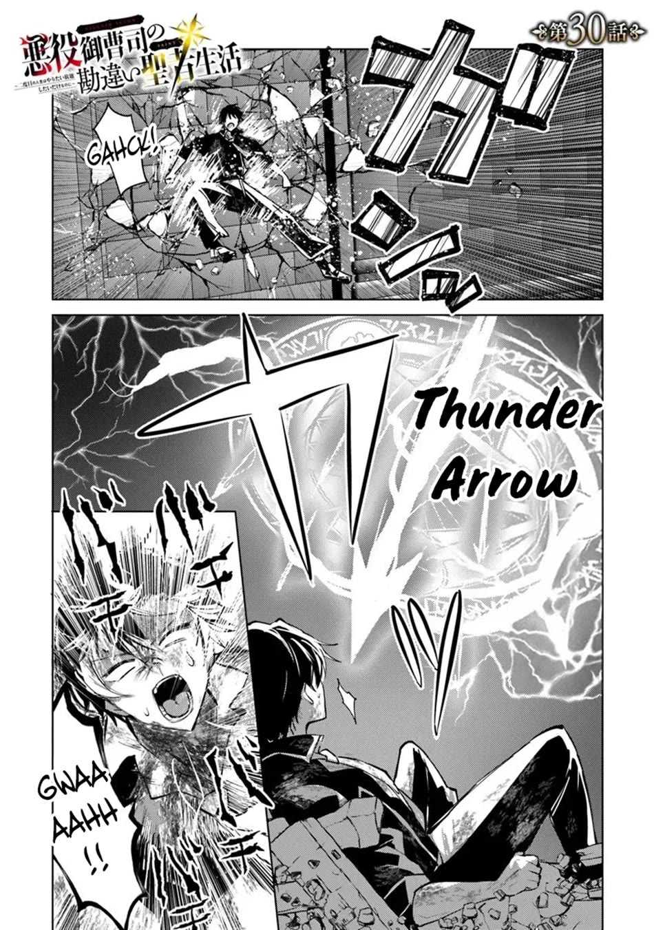 The Misunderstood Saintly Life of a Villainous Scion ~ I just want to do whatever I want in my second life~ chapter 30 page 2