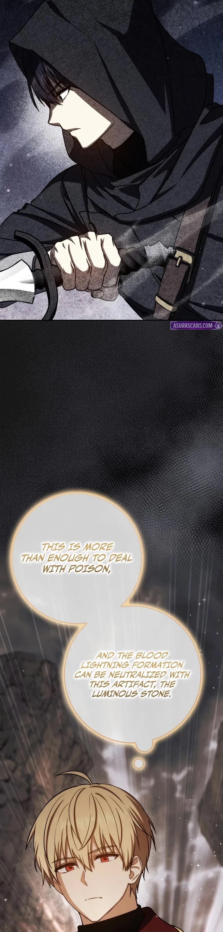 The Reincarnated Assassin is a Genius Swordsman chapter 95 page 39