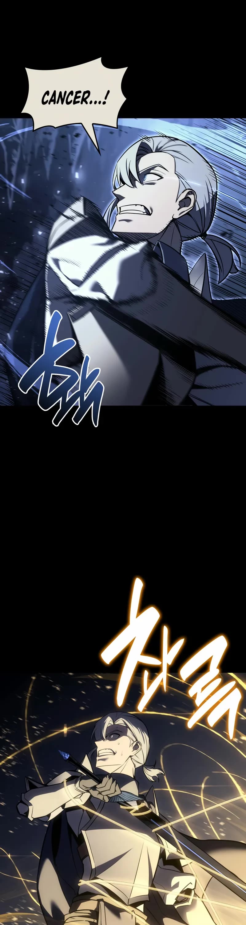 The Return of the Disaster-Class Hero chapter 117 page 14