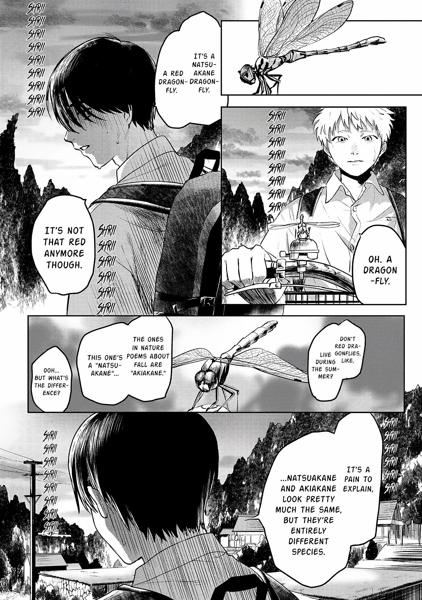 The Summer Hikaru Died chapter 2 page 12