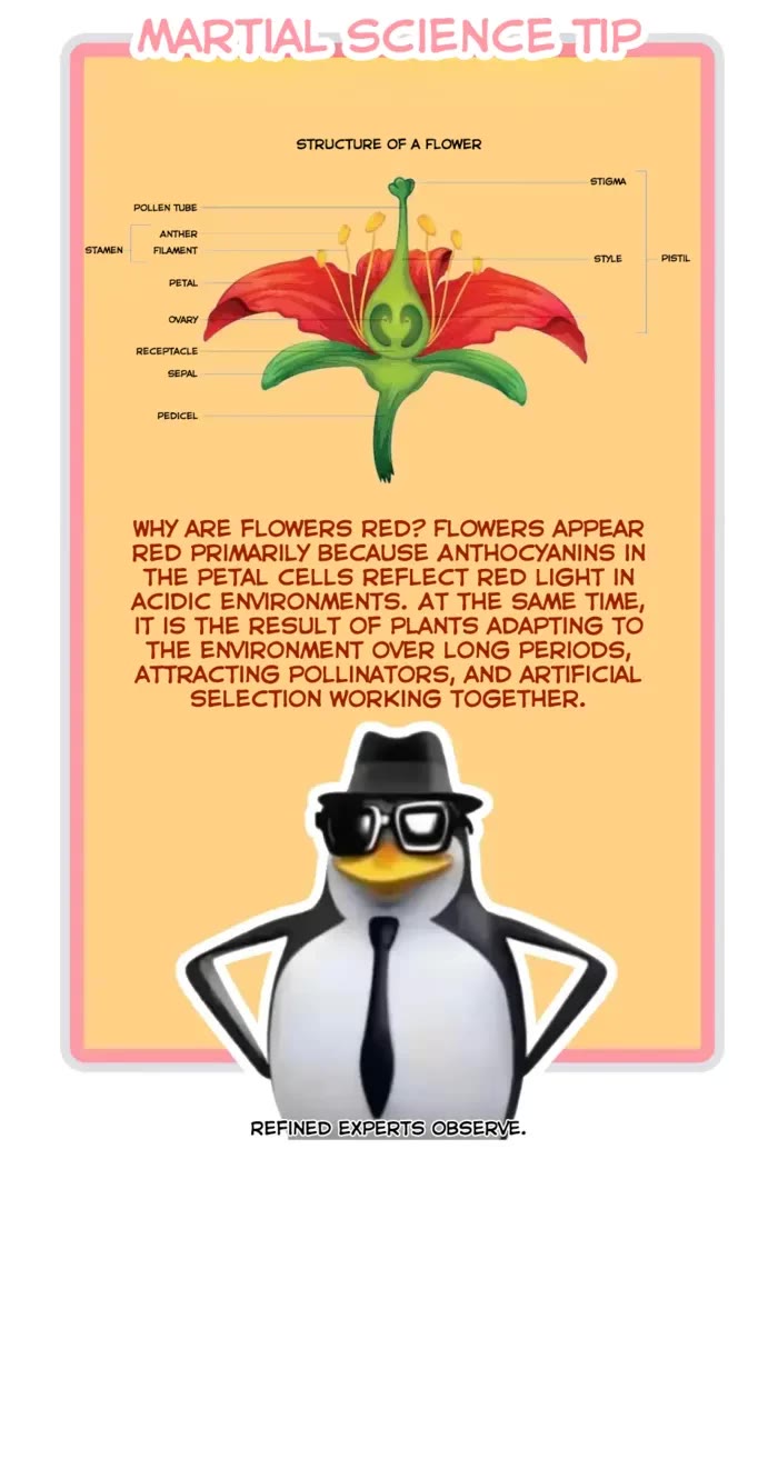 The Ultimate of All Ages chapter 493 page 36