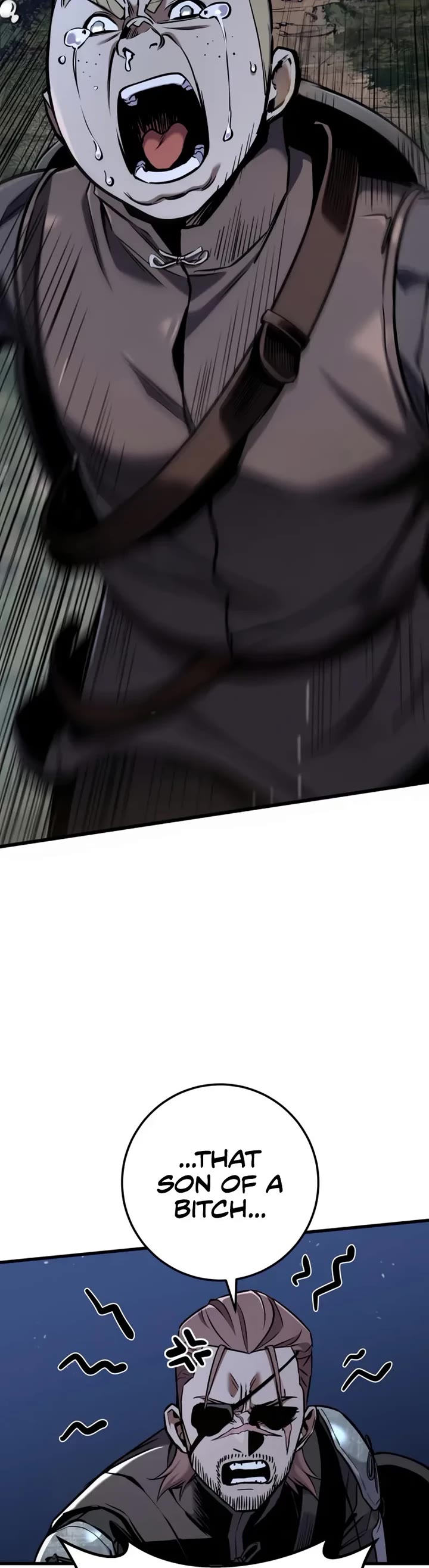 The Wandering Knight's Survival Manual chapter 12 page 29