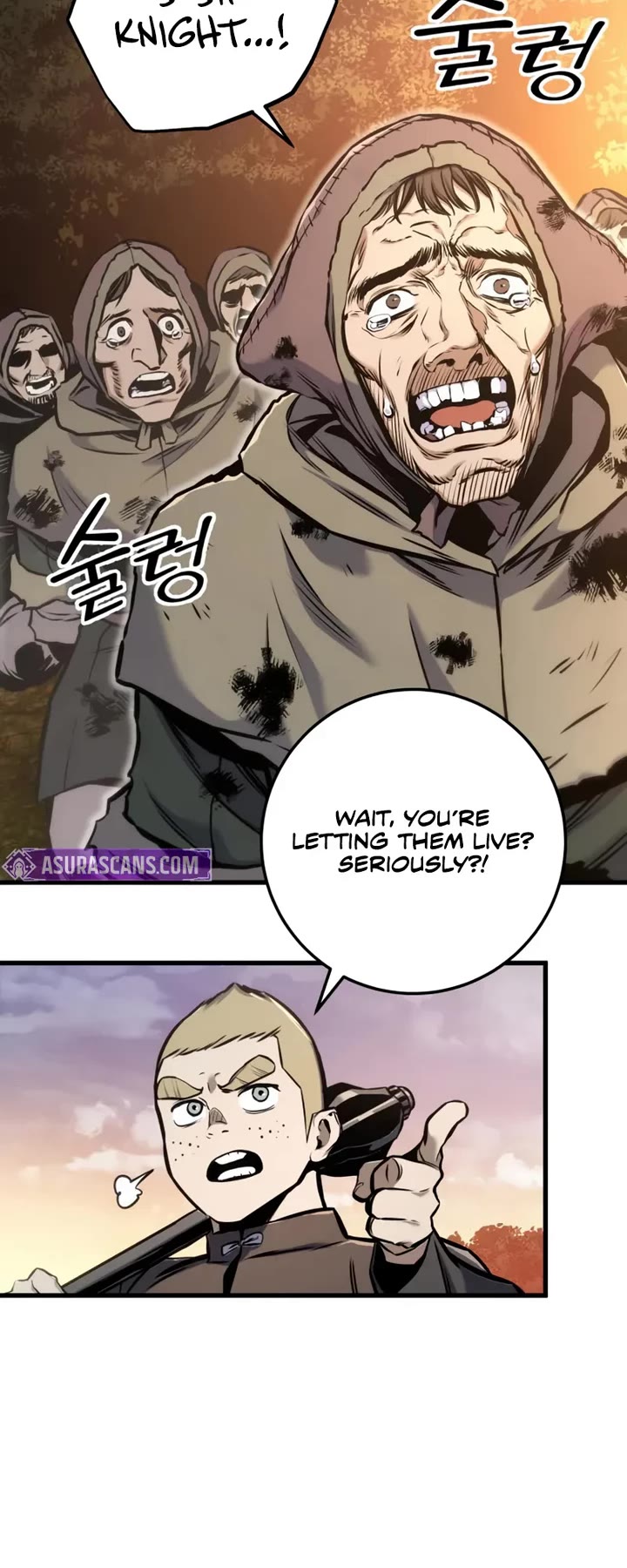 The Wandering Knight's Survival Manual chapter 13 page 40