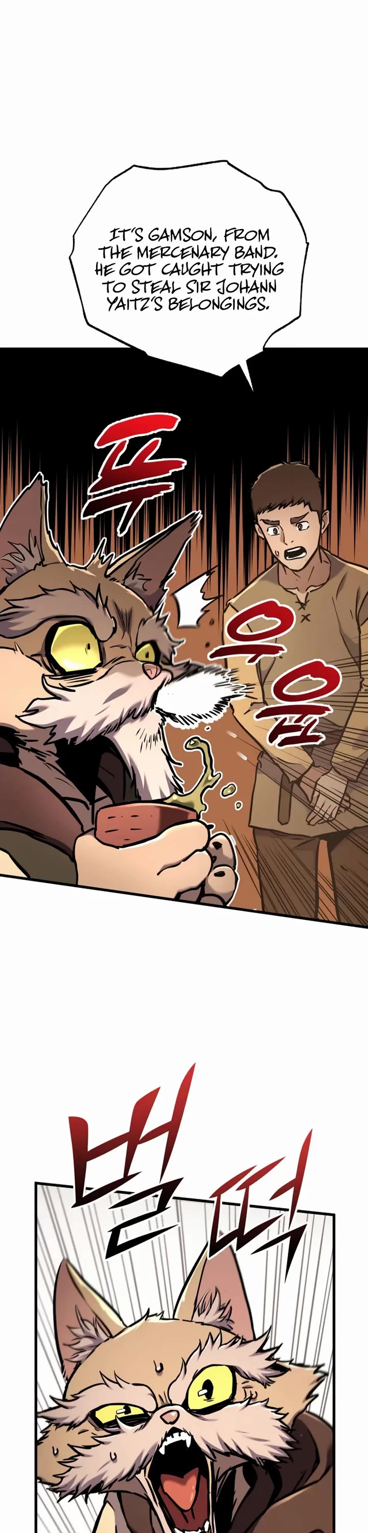 The Wandering Knight's Survival Manual chapter 15 page 11