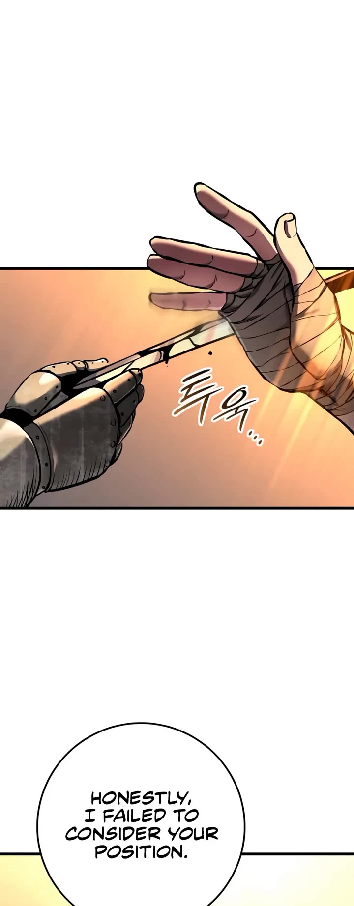 The Wandering Knight's Survival Manual chapter 16 page 14