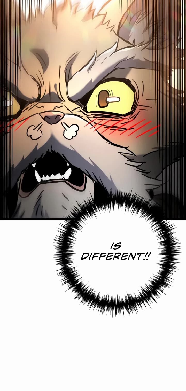 The Wandering Knight's Survival Manual chapter 16 page 20