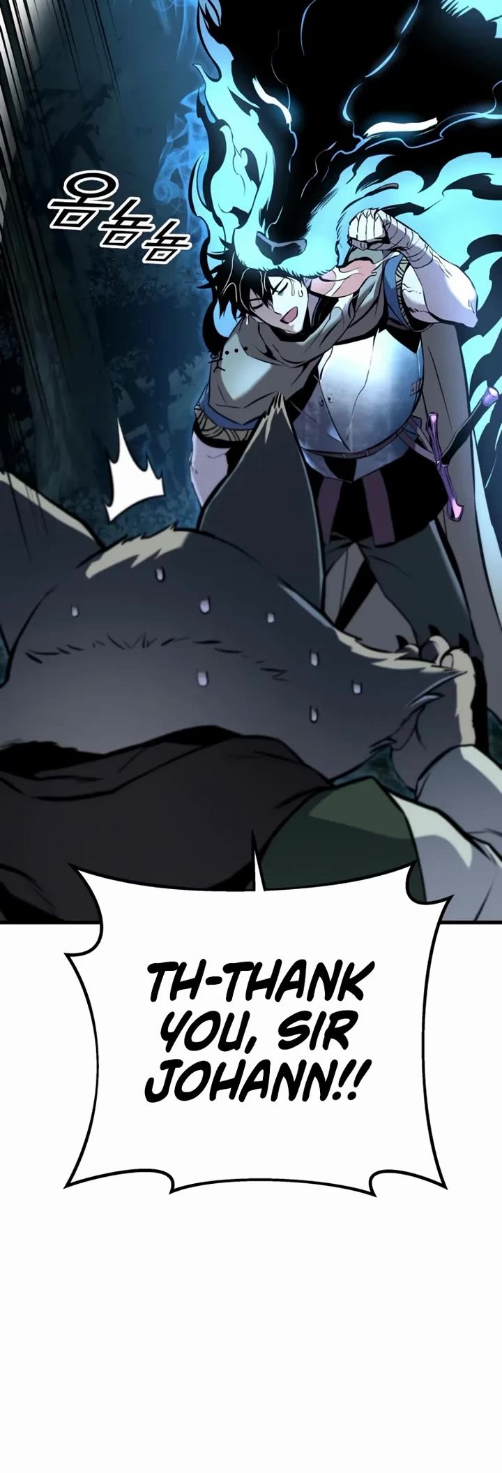 The Wandering Knight's Survival Manual chapter 17 page 63