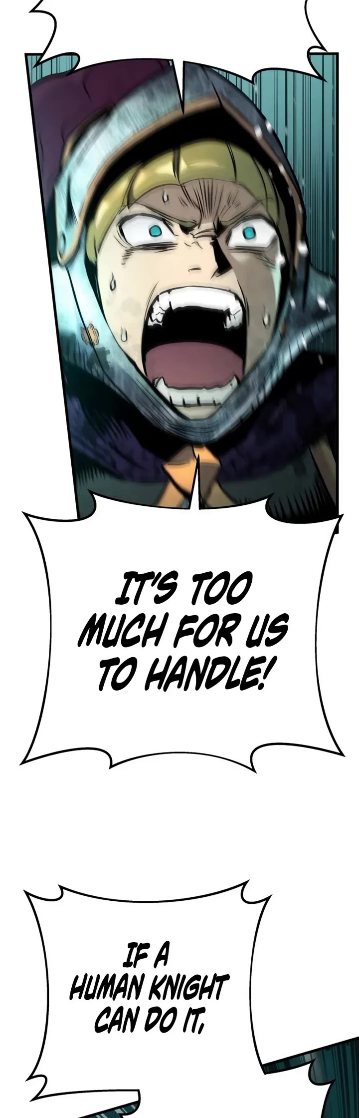 The Wandering Knight's Survival Manual chapter 29 page 29