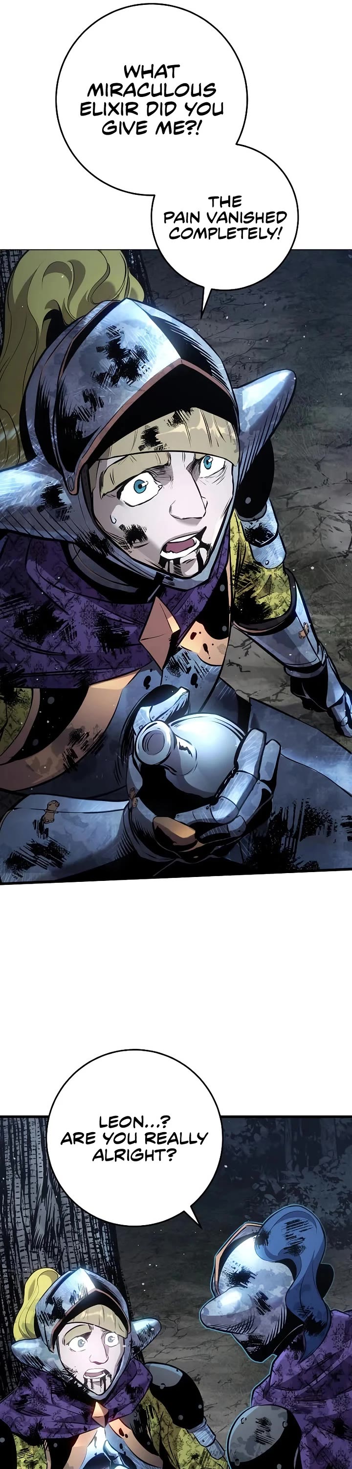 The Wandering Knight's Survival Manual chapter 32 page 27