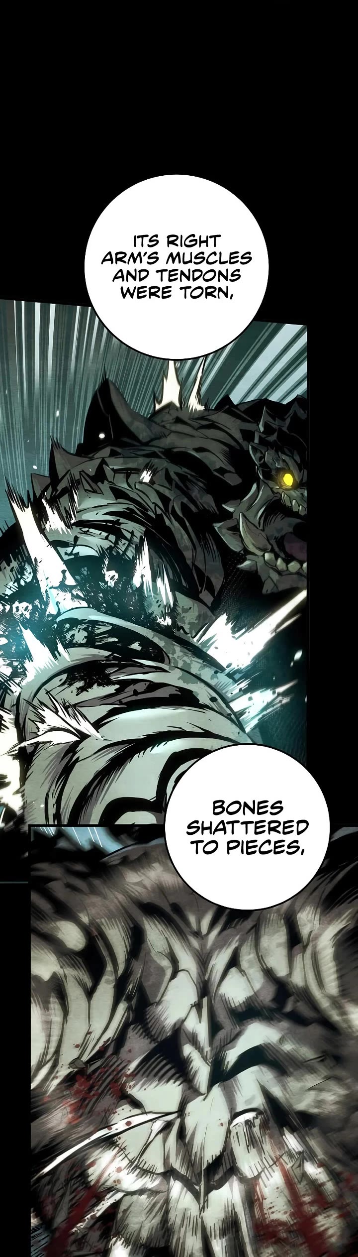 The Wandering Knight's Survival Manual chapter 32 page 53