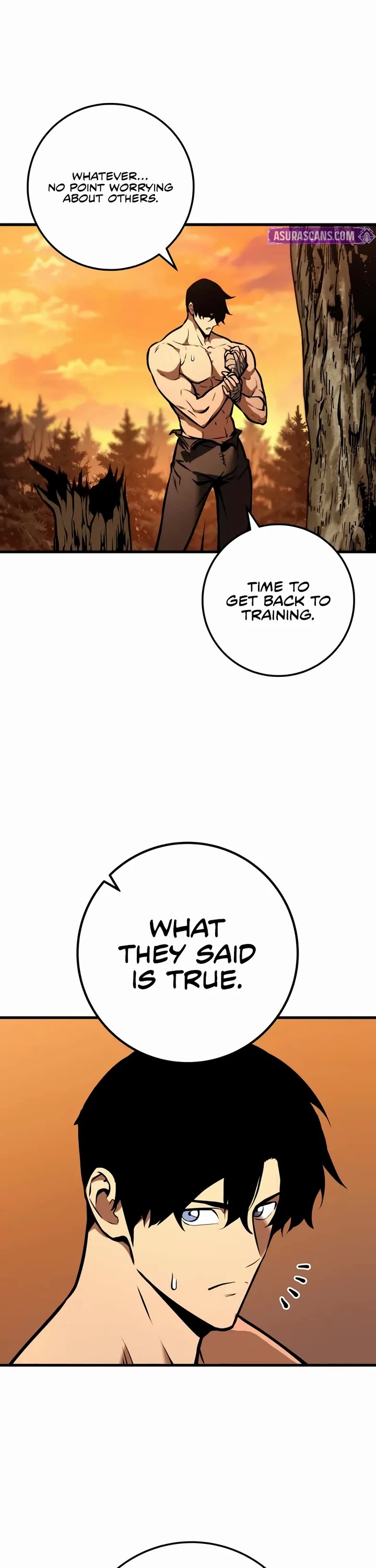 The Wandering Knight's Survival Manual chapter 4 page 29